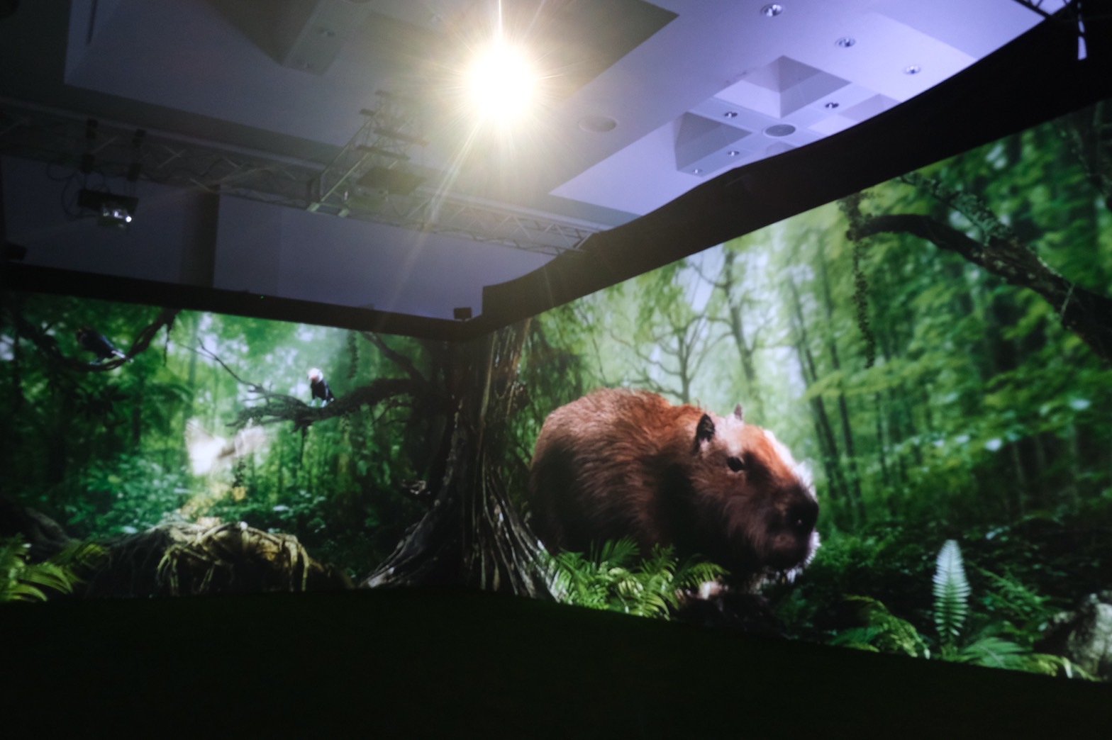 A projected forest scene with a large capybara
